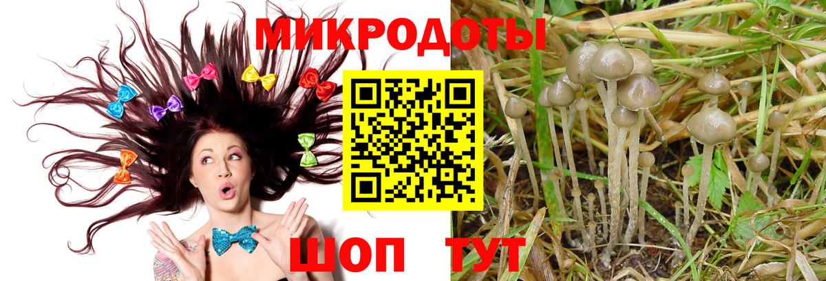 Псилоцибиновые грибы Psilocybe  Вход с VPN  Калуга 