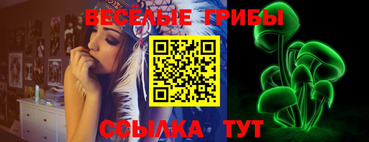 Псилоцибиновые грибы Psilocybe Калуга